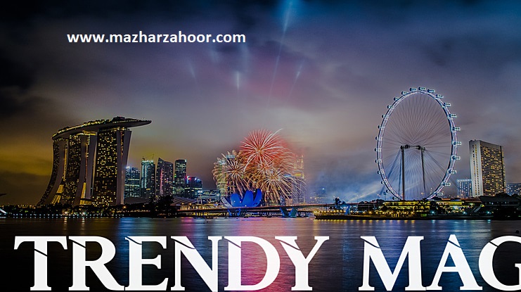 Trendy Mag Theme Free Download 2023 Right Now